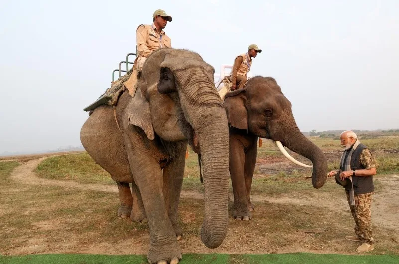 PM Modi Explores Kaziranga National Park with Elephant and Jeep Safari