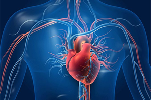 Heart muscle can regenerate after failure in some people with artificial hearts: Study