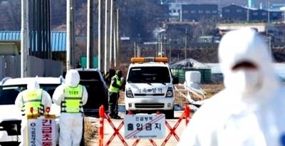 South Korea reports new avian influenza case at regional farm